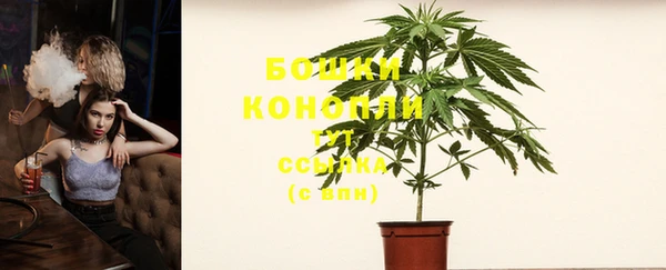 mdpv Богданович