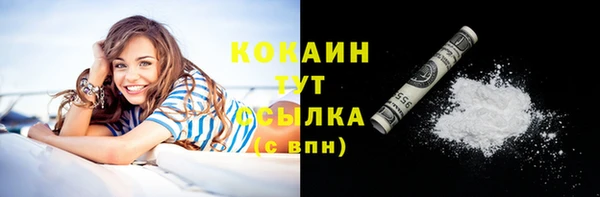mix Белокуриха