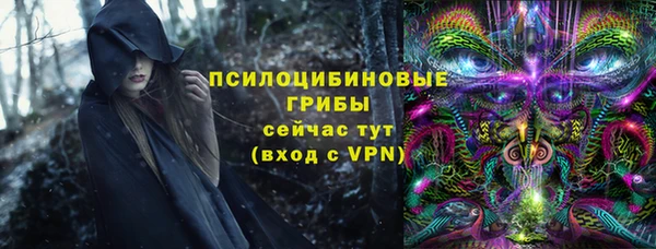 герыч Протвино