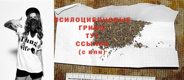 spice Беломорск