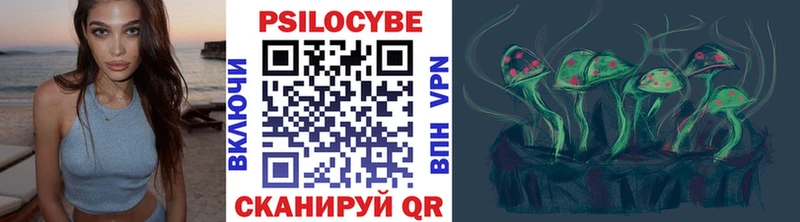 закладка  Пионерский  Псилоцибиновые грибы Psilocybine cubensis 