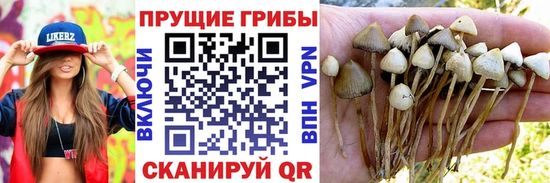 Галлюциногенные грибы MAGIC MUSHROOMS Пионерский
